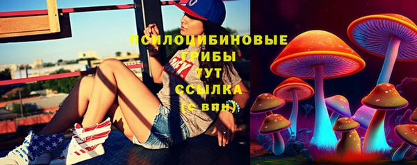 прущая мука Пролетарск