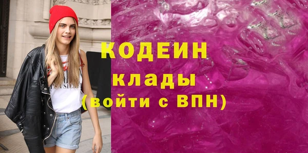 мдпв Елизово