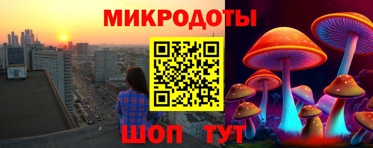 Славянск-на-Кубани  Галлюциногенные грибы Psilocybine cubensis  Псилоцибиновые грибы мицелий  Вход с VPN 